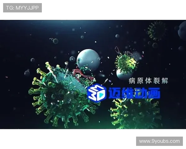 多功能的PA视讯入口官方平台，满足不同用户的多样化需求